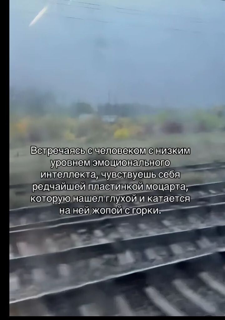 Встречаясь с человеком с низким уровнем эмоционального интеллекта, чувствуешь себя редчайшей пластинкой моцарта, которую нашел глухой и катается на ней жопой с горки.