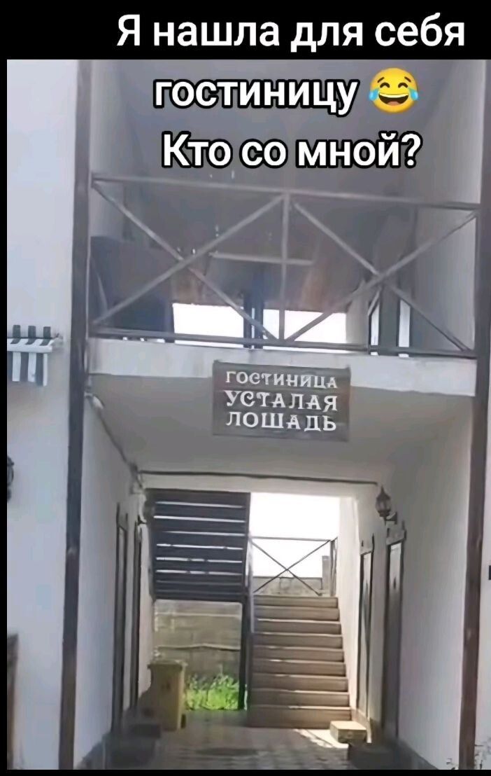 Я нашла для себя гостиницу 😂 Кто со мной?
гостиница УСТАЛАЯ ЛОШАДЬ