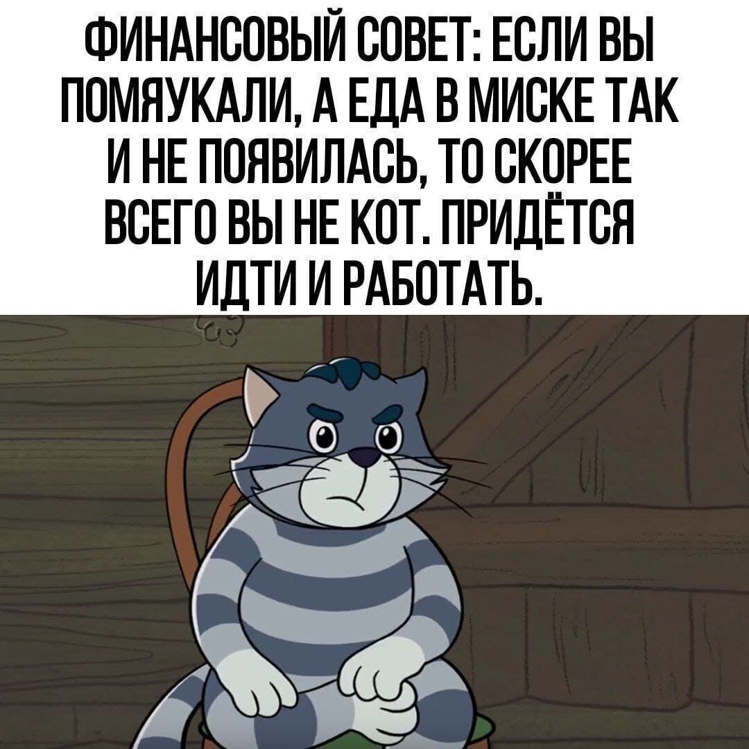 ФИНАНСОВЫЙ СОВЕТ: ЕСЛИ ВЫ ПОМЯКАЛИ, А ЕДА В МИСКЕ ТАК И НЕ ПОЯВИЛАСЬ, ТО СКОРЕЕ ВСЕГО ВЫ НЕ КОТ. ПРИДЕТЬСЯ ИДТИ И РАБОТАТЬ.
