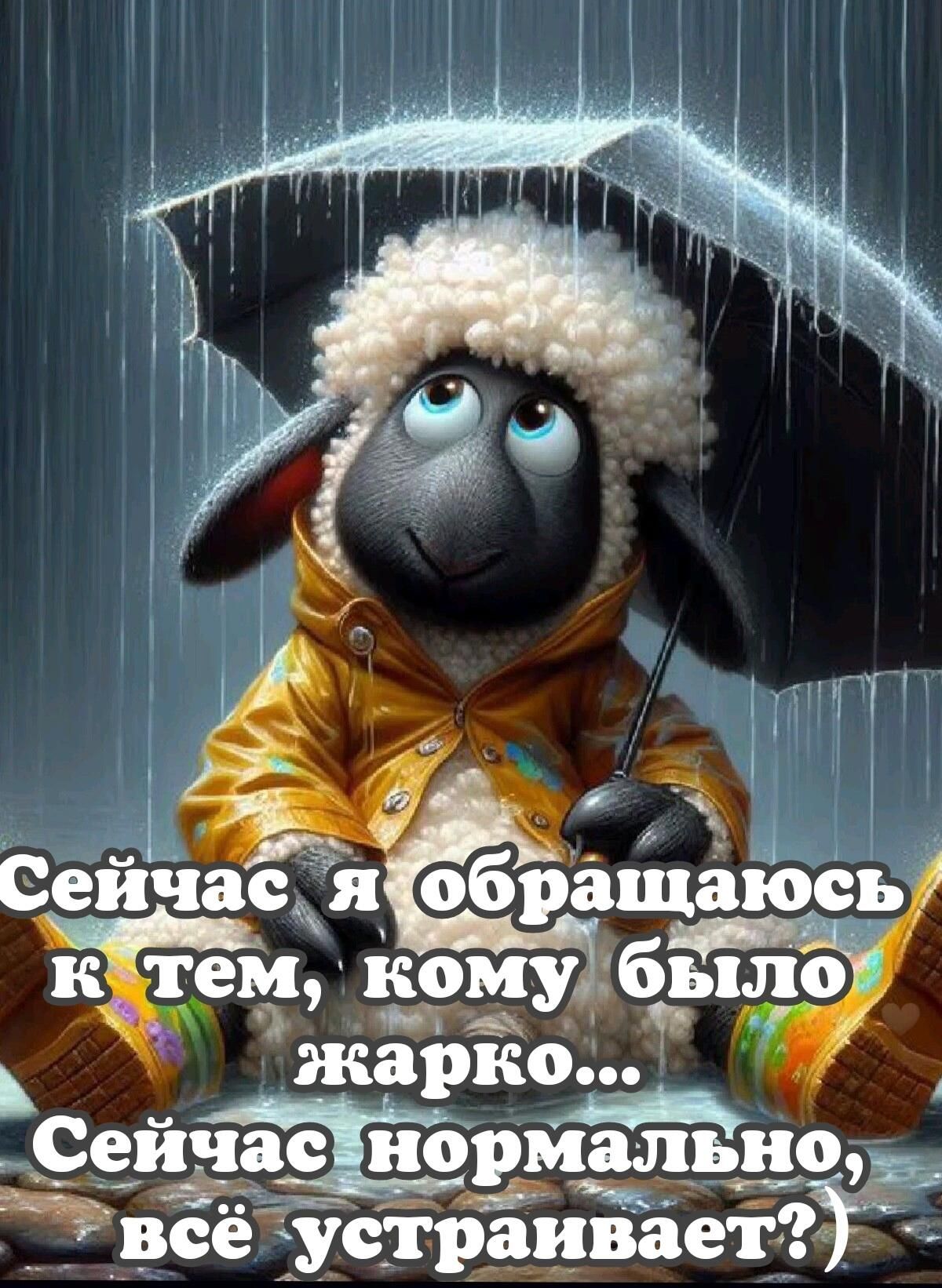 Сейчас я обращаюсь к тем, кому было жарко... Сейчас нормально, всё устраивает?