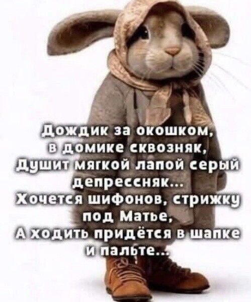Дождик за окошком, в домике сквозняк, душит мягкой лапой серый депрессняк... Хочется шифонов, стрижку под Матвея, А ходить придется в шапке и пальте...