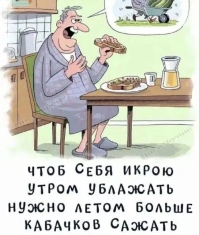 ЧТОБ СЕБЯ ИКРОЮ УТРОМ УБЛАЖАТЬ НУЖНО ЛЕТОМ БОЛЬШЕ КАБАЧКОВ САЖАТЬ