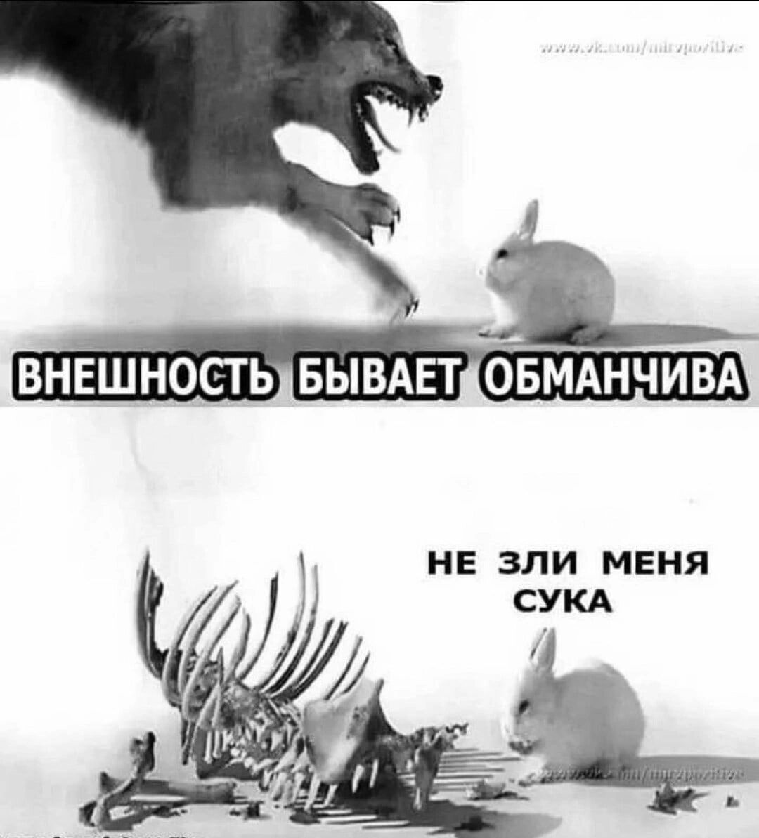 ВНЕШНОСТЬ БЫВАЕТ ОБМАНЧИВА
НЕ ЗЛИ МЕНЯ СУКА