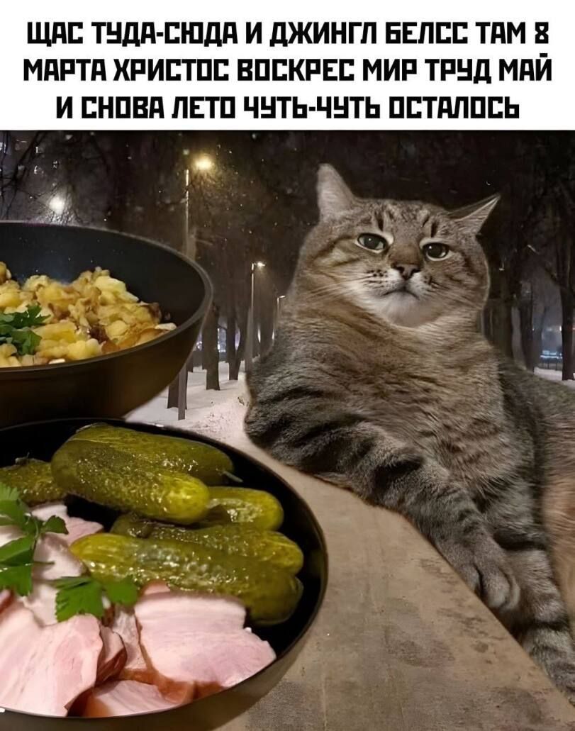 ЩАС ТУДА-СЮДА И ДЖИНГЛ БЕЛСС ТАМ 8 МАРТА ХРИСТОС ВОСКРЕС МИР ТРУД МАЙ И СНОВА ЛЕТО ЧУТЬ-ЧУТЬ ОСТАЛОСЬ
