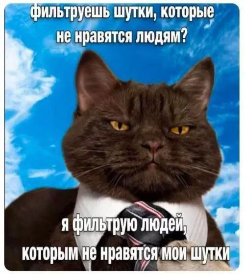 фильтруешь шутки, которые не нравятся людям? я фильтрую людей, которым не нравятся мои шутки
