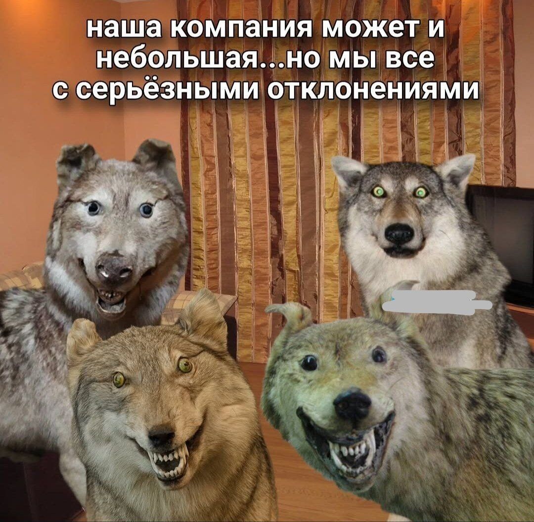 наша компания может и небольшая...но мы все с серьёзными отклонениями