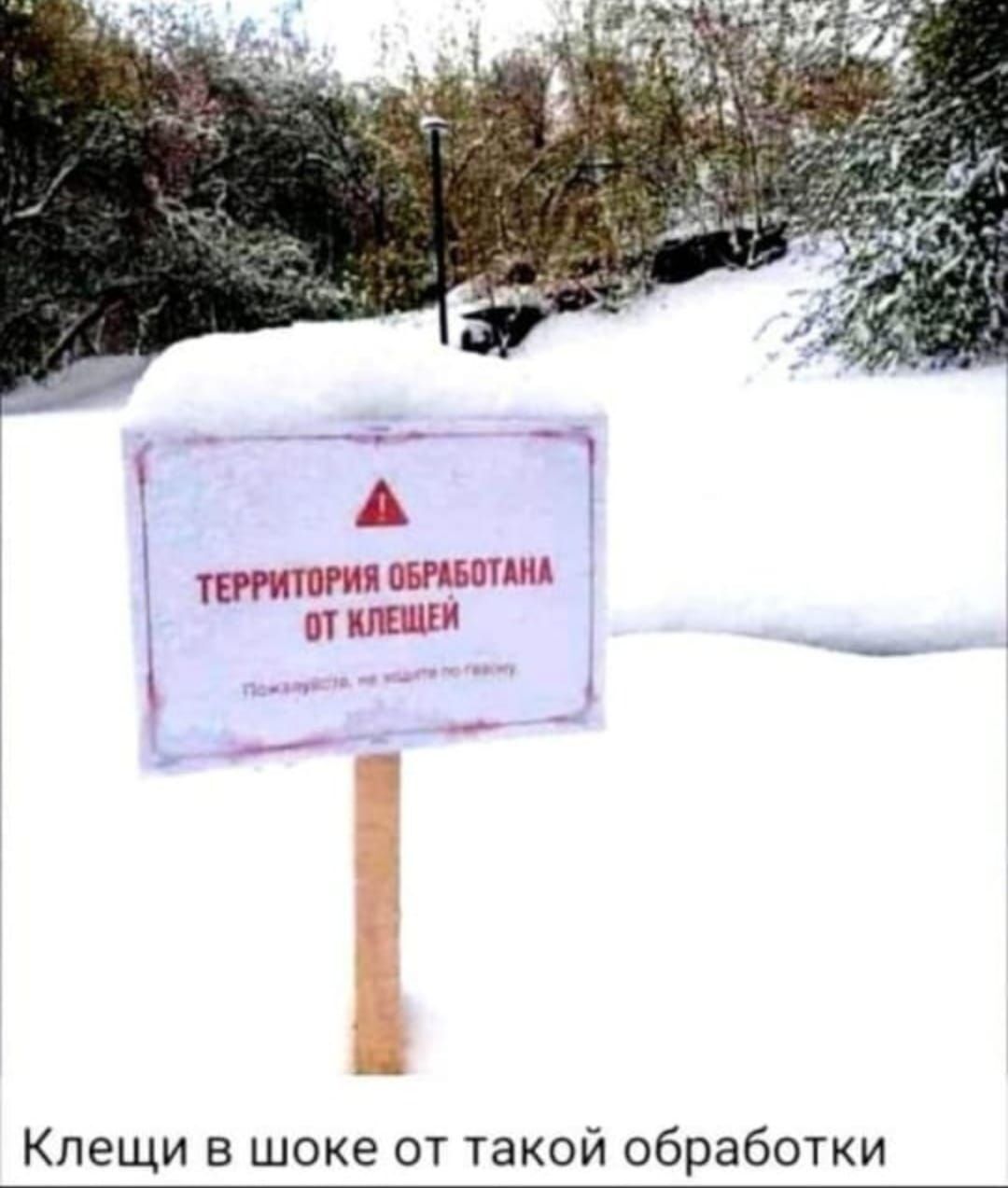 ТЕРРИТОРИЯ ОБРАБОТАНА ОТ КЛЕЩЕЙ
Пожалуйста, не подходите к территории.
Клещи в шоке от такой обработки