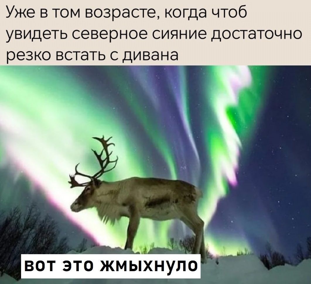 Уже в том возрасте, когда чтоб увидеть северное сияние достаточно резко встать с дивана Вот это жмыыхнуло