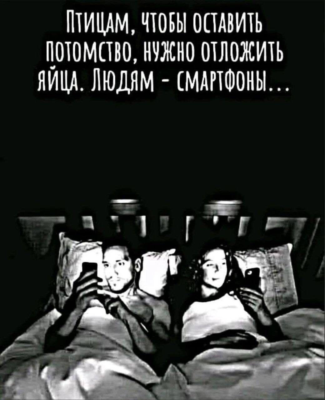 Птицам, чтобы оставить потомство, нужно отложить яйца. Людям - смартфоны...