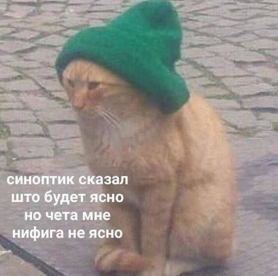 синоптик сказал
что будет ясно
но чета мне
нифига не ясно
