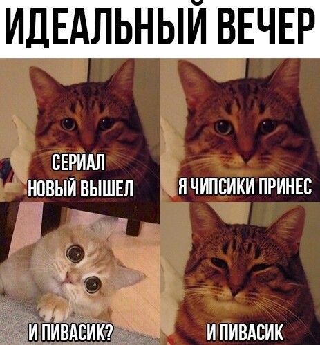 ИДЕАЛЬНЫЙ ВЕЧЕР
СЕРИАЛ НОВЫЙ ВЫШЕЛ
Я ЧИПСИКИ ПРИНЕС
И ПИВАСИК?
И ПИВАСИК