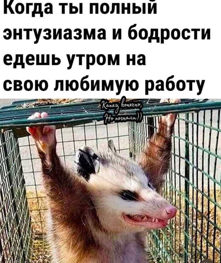 Когда ты полный энтузиазма и бодрости едешь утром на свою любимую работу