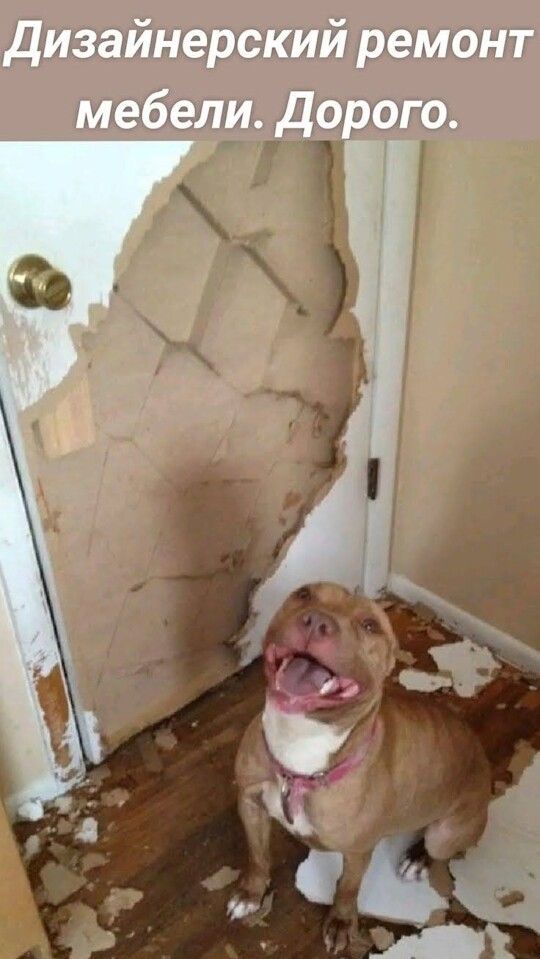 Дизайнерский ремонт мебели. Дорого.