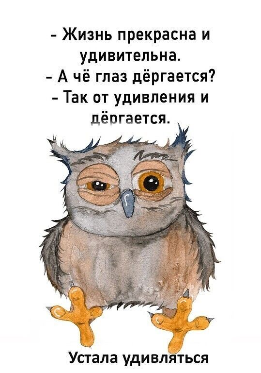 - Жизнь прекрасна и удивительна.\n- А чё глаз дёргается?\n- Так от удивления и дёргается.\nУстала удивляться