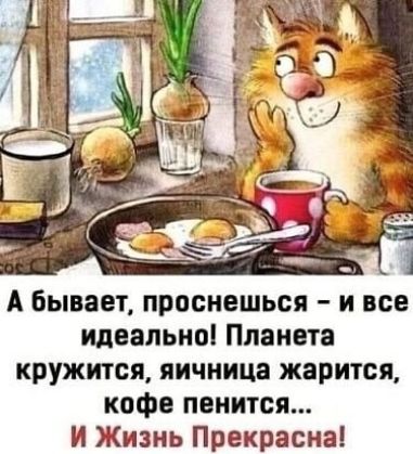 А бывает, проснешься – и все идеально! Планета кружится, яичница жарится, кофе пенится... И Жизнь Прекрасна!