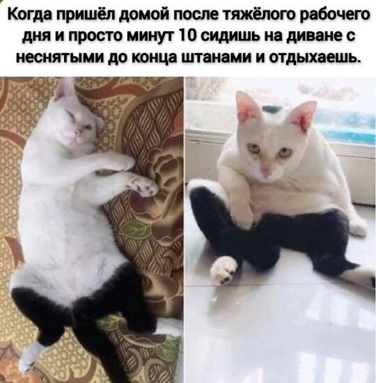 Когда пришёл домой после тяжёлого рабочего дня и просто минут 10 сидишь на диване с не снятыми до конца штанами и отдыхаешь.