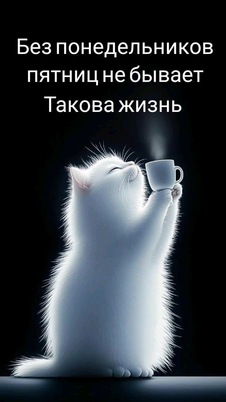 Без понедельников пятниц не бывает Такова жизнь