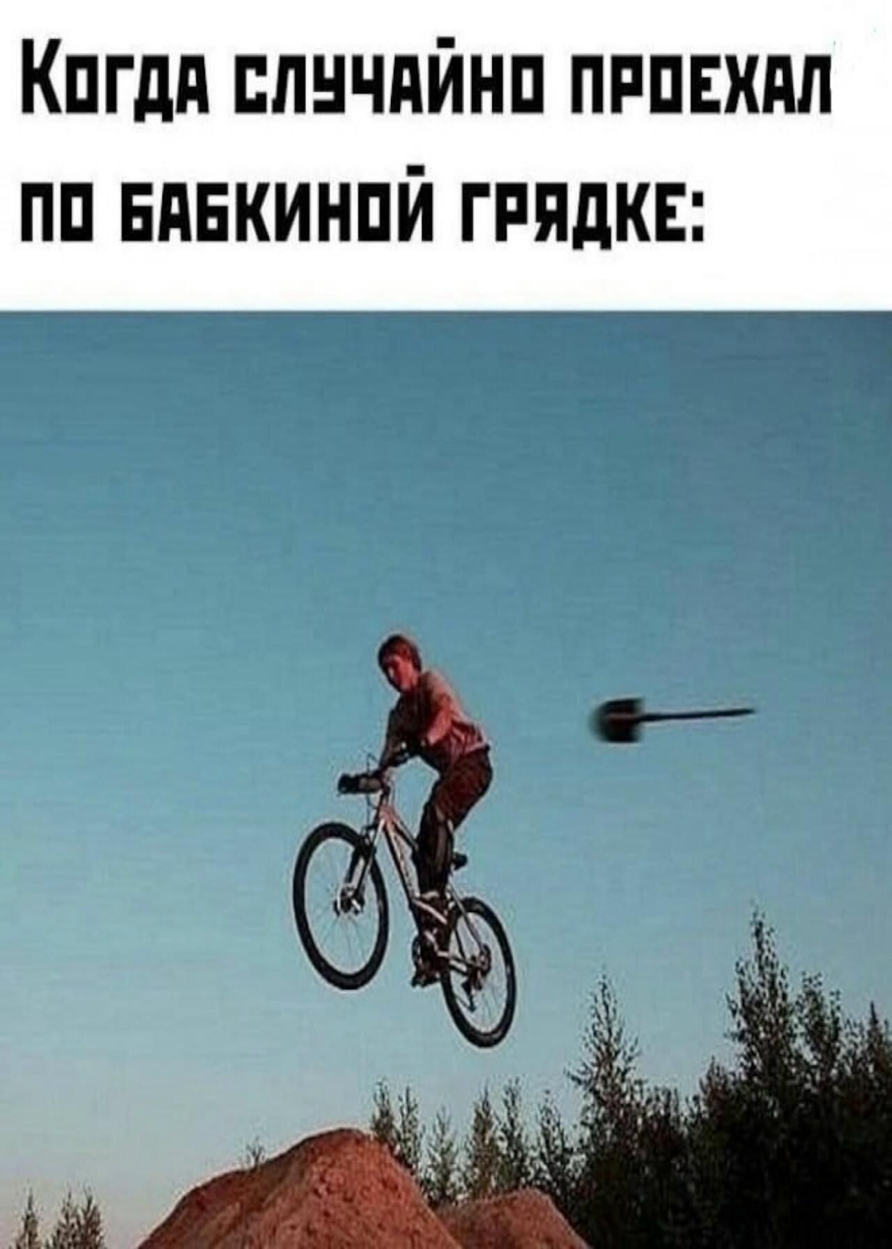 Когда случайно проехал по бабкинной грядке: