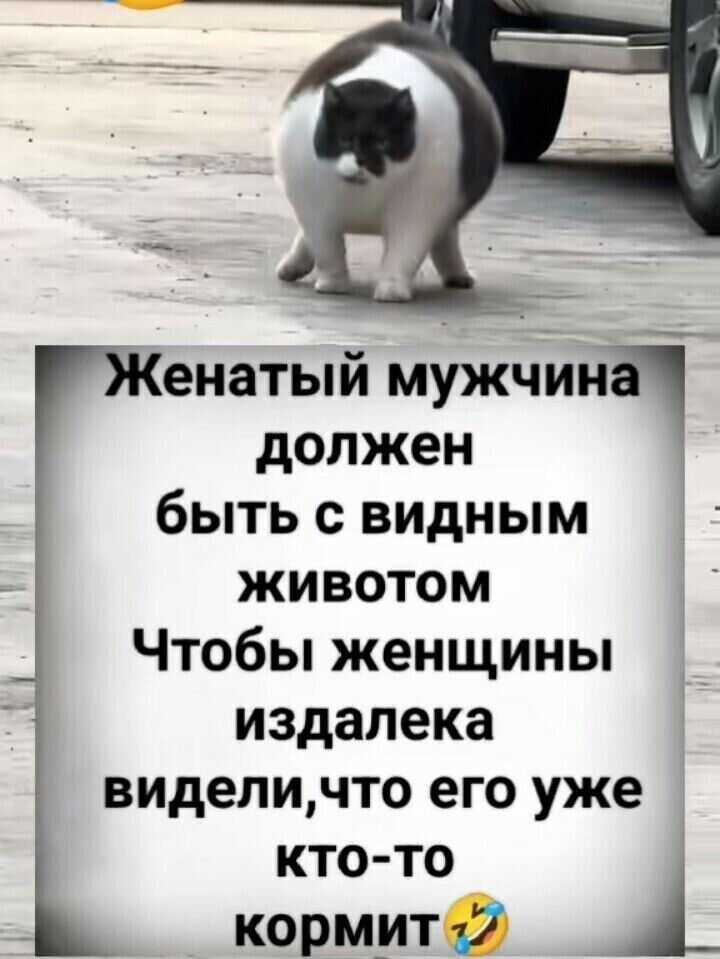 Женатый мужчина должен быть с видным животом Чтобы женщины издалека видели,что его уже кто-то кормит😂