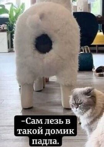 -Сам лезь в такой домик падла.