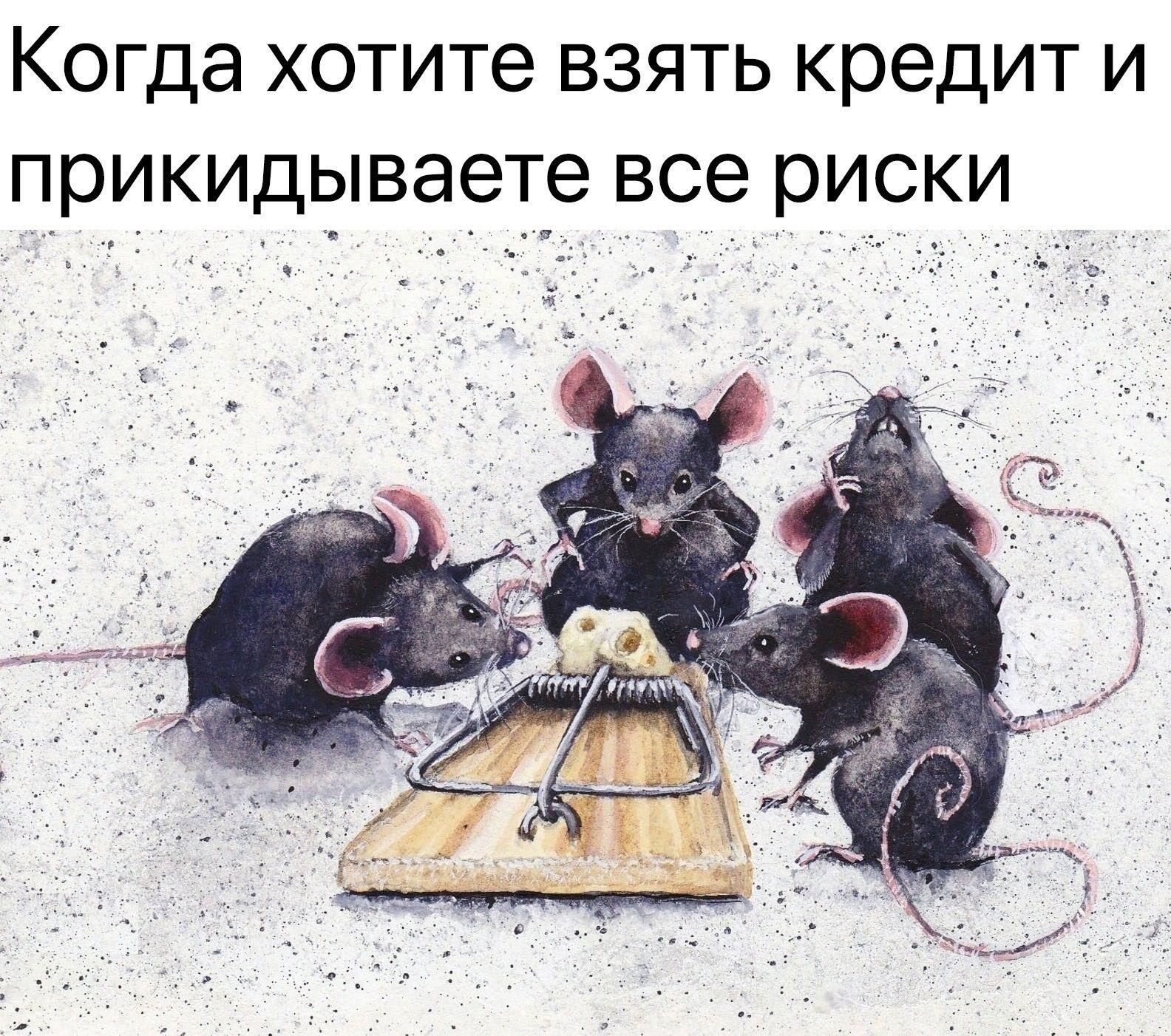 Когда хотите взять кредит и прикидываете все риски