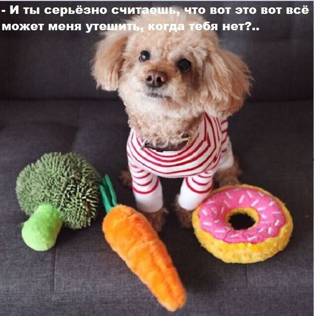 И ты серьёзно считаешь, что вот это вот всё может меня утешить, когда тебя нет?..