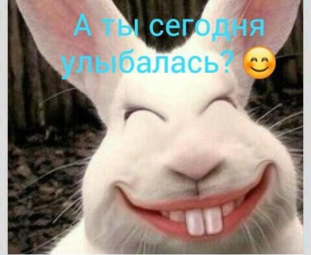 А ты сегодня улыбалась?