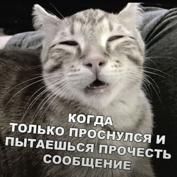 КОГДА ТОЛЬКО ПРОСНУЛСЯ И ПЫТАЕШЬСЯ ПРОЧЕСТЬ СООБЩЕНИЕ