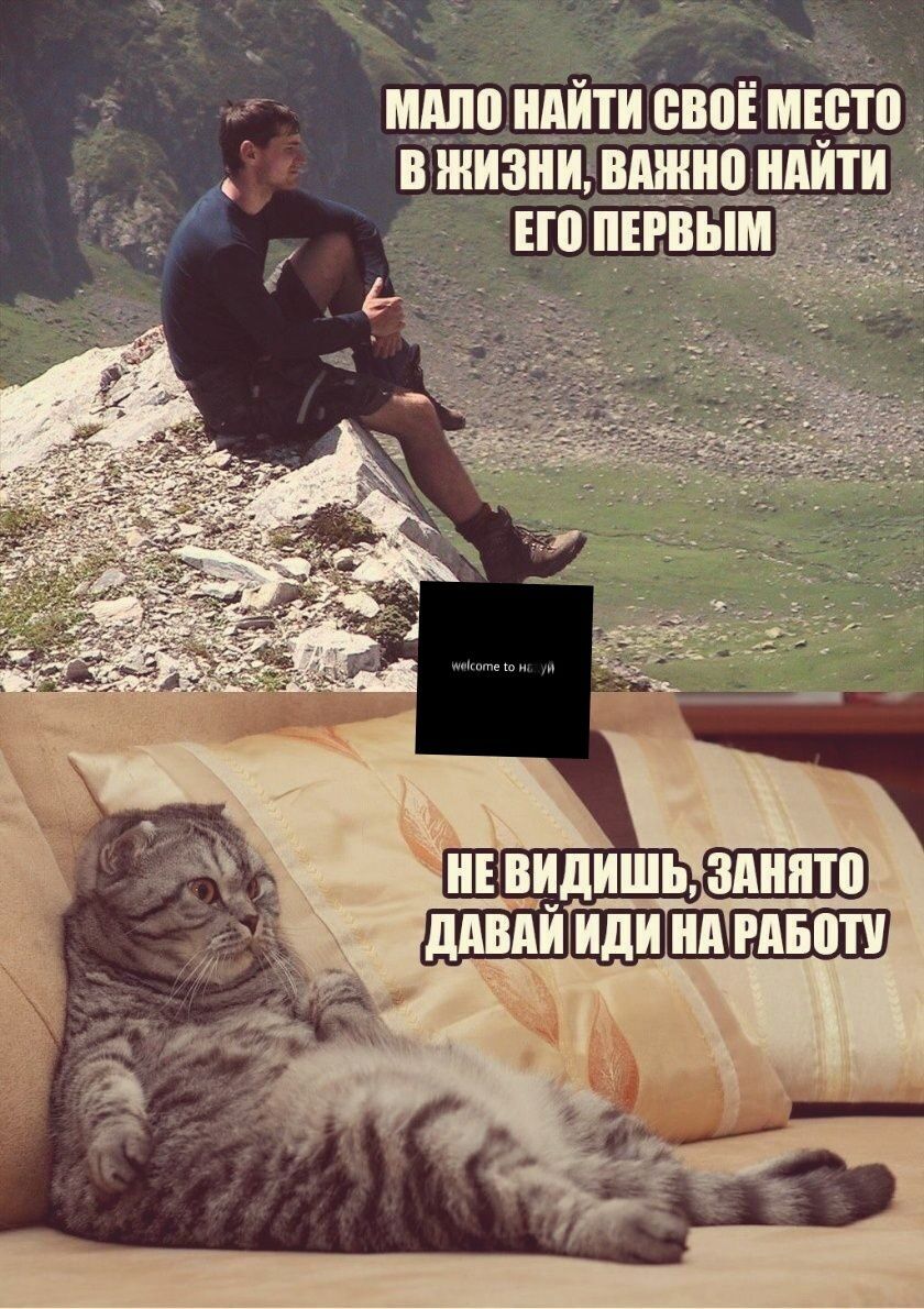 Мало найти своё место в жизни, важно найти его первым. Не видишь, занято — давай иди на работу.