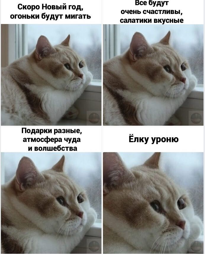 Скоро Новый год, огоньки будут мигать Все будут очень счастливы, салатики вкусные Подарки разные, атмосфера чуда и волшебства Ёлку урону