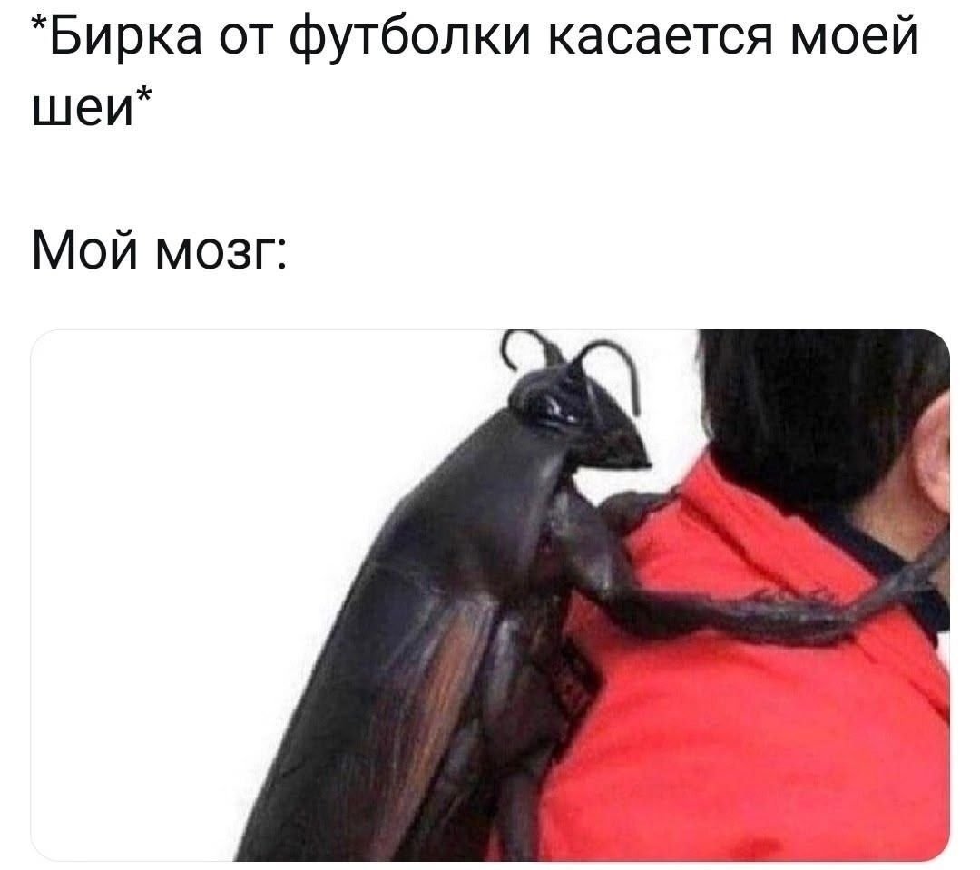 *Бирка от футболки касается моей шеи*
Мой мозг: