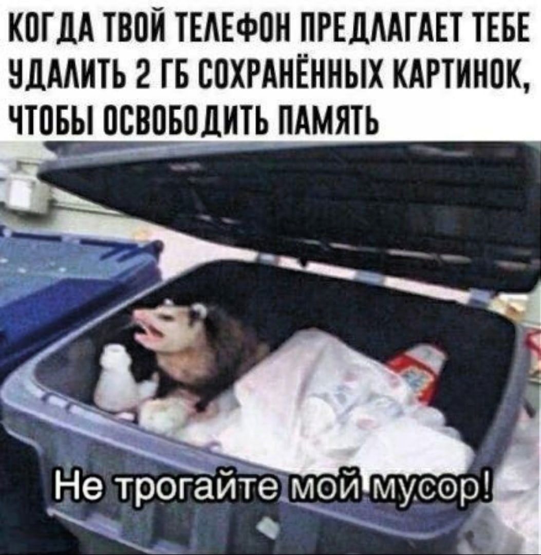 КОГДА ТВОЙ ТЕЛЕФОН ПРЕДЛАГАЕТ ТЕБЕ УДАЛИТЬ 2 ГБ СОХРАНЁННЫХ КАРТИНОК, ЧТОБЫ ОСВОБОДИТЬ ПАМЯТЬ
Не трогайте мой мусор!
