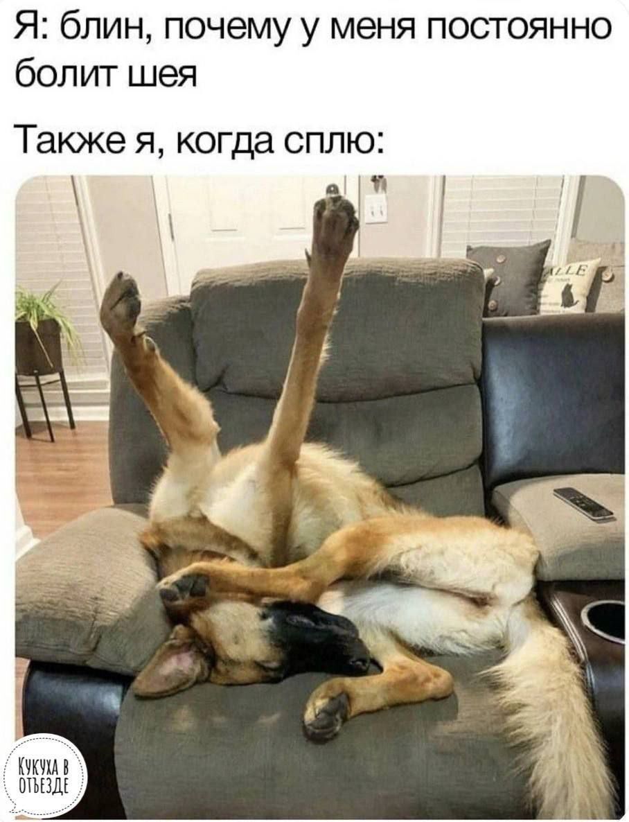 Я: блин, почему у меня постоянно болит шея Так же я, когда сплю: