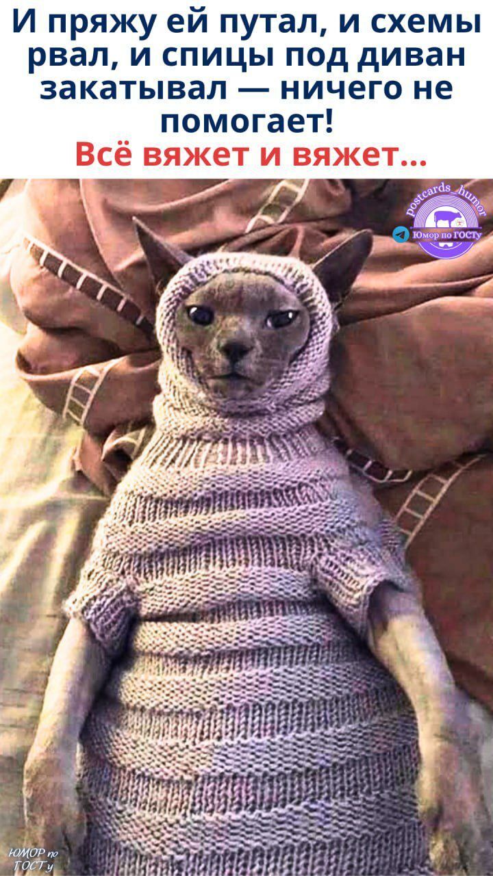 И пряжу ей путал, и схемы рвал, и спицы под диван закатывал — ничего не помогает! Всё вяжет и вяжет...