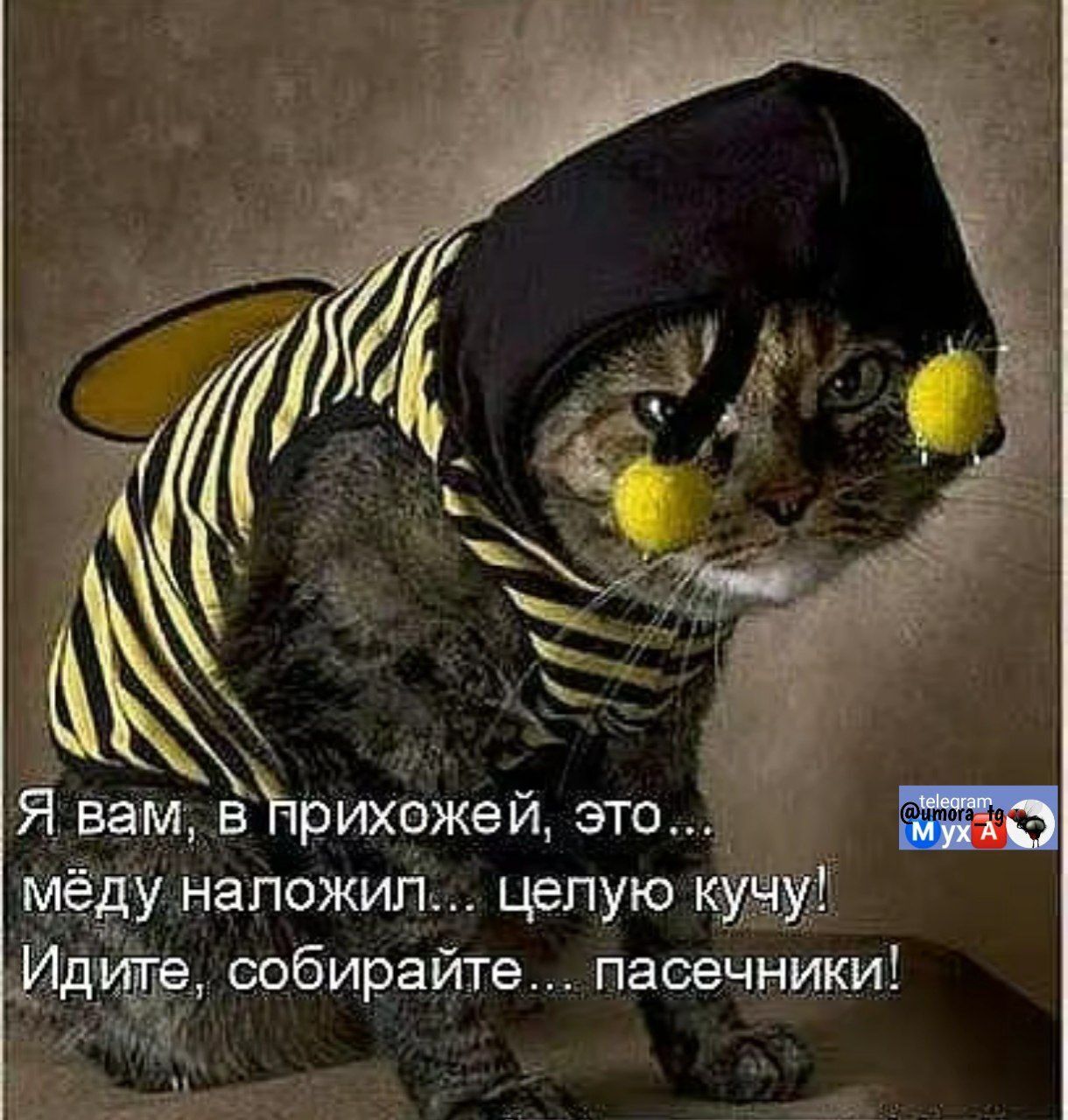 Я вам, в приход... это... мёду наложил... целую кучу! Идите, собирайте... пасечники!