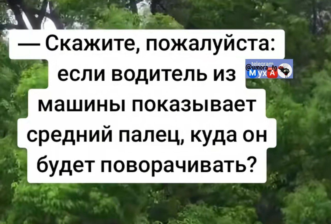 — Скажите, пожалуйста: если водитель из машины показывает средний палец, куда он будет поворачивать?