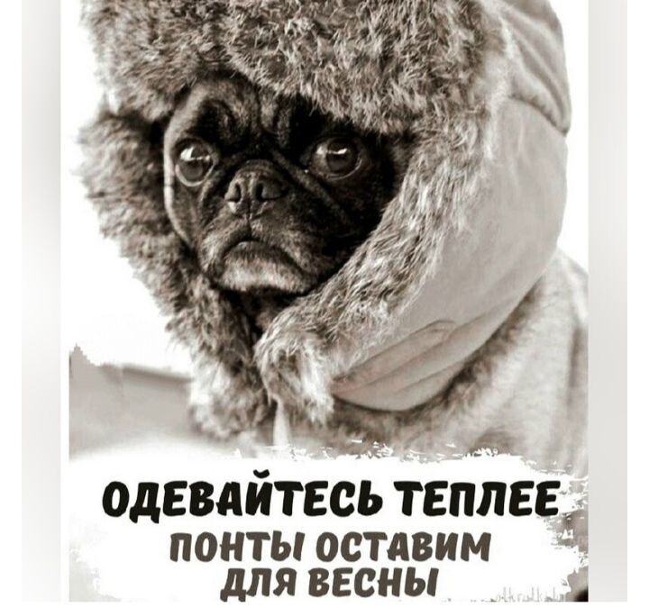 Одевайтесь теплее понты оставим для весны