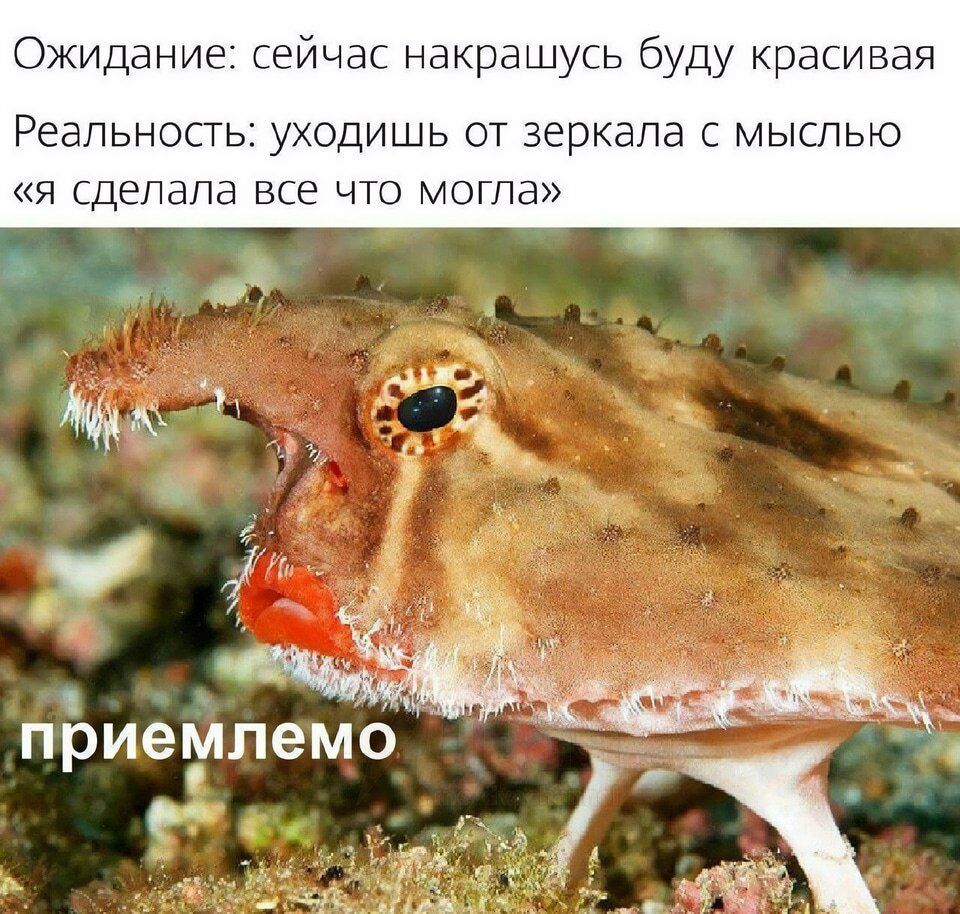 Ожидание: сейчас накрашусь буду красивая\nРеальность: уходишь от зеркала с мыслью «я сделала все что могла»