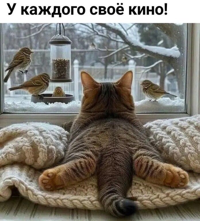 У каждого своё кино!