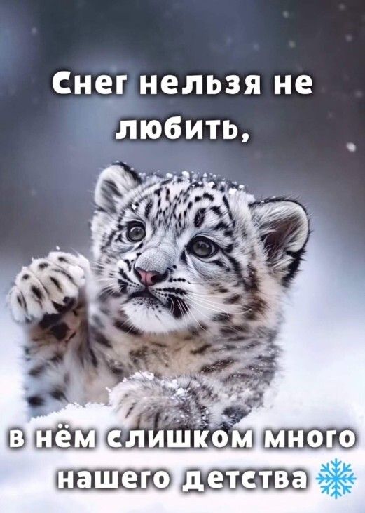 Снег нельзя не любить, в нём слишком много нашего детства