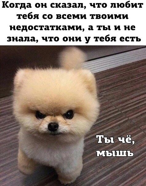Когда он сказал, что любит тебя со всеми твоими недостатками, а ты и не знала, что они у тебя есть
Ты чё, мышь