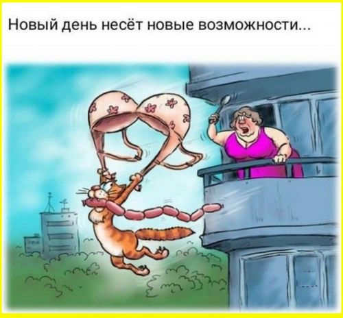 Новый день несёт новые возможности...