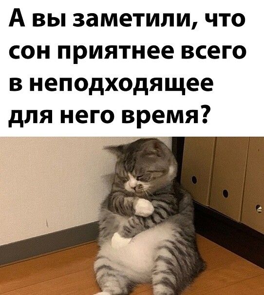 А вы заметили, что сон приятнее всего в неподходящее время для него время?