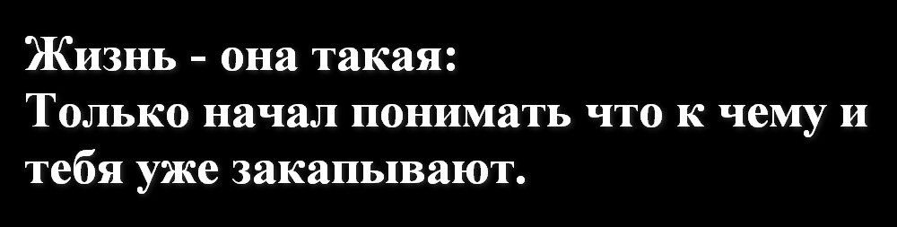Жизнь - она такая: Только начал понимать что к чему и тебя уже закапивают.
