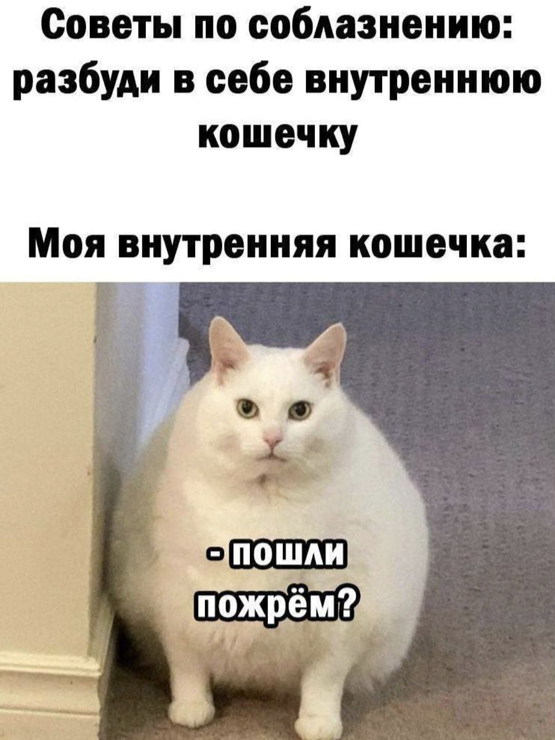 Советы по соблазнению: разбуди в себе внутреннюю кошечку Моя внутренняя кошечка: - пошки пожрём?