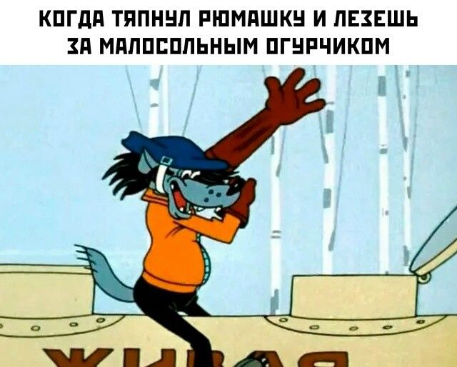 КОГДА ТЯПНУЛ РЮМАШКУ И ЛЕЗЕШЬ ЗА МАЛОСОЛЬНЫМ ОГУРИЧКОМ