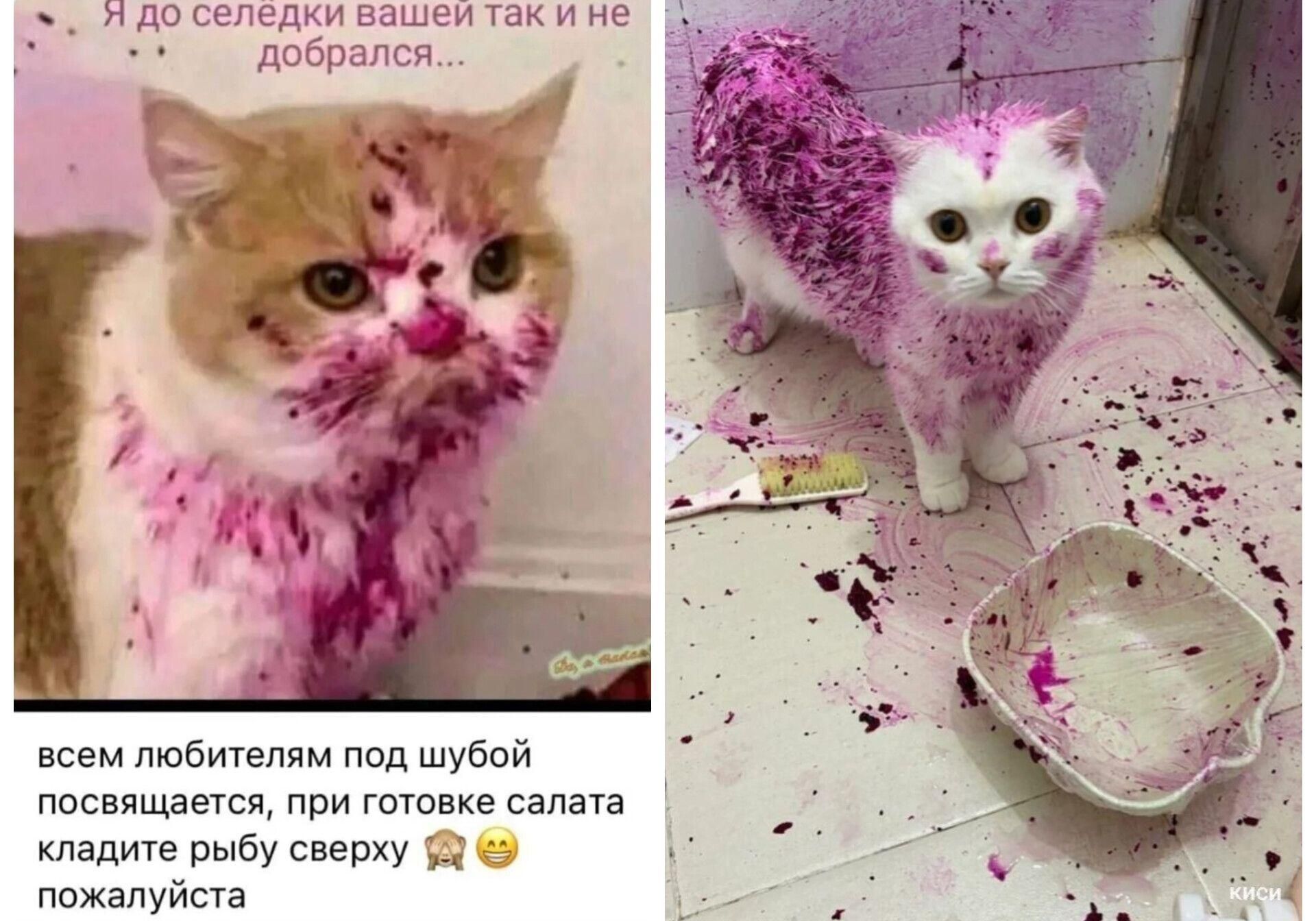 Я до селедки вашей так и не добрался...\nвсем любителям под шубой посвящается, при готовке салата кладите рыбу сверху пожалуйста