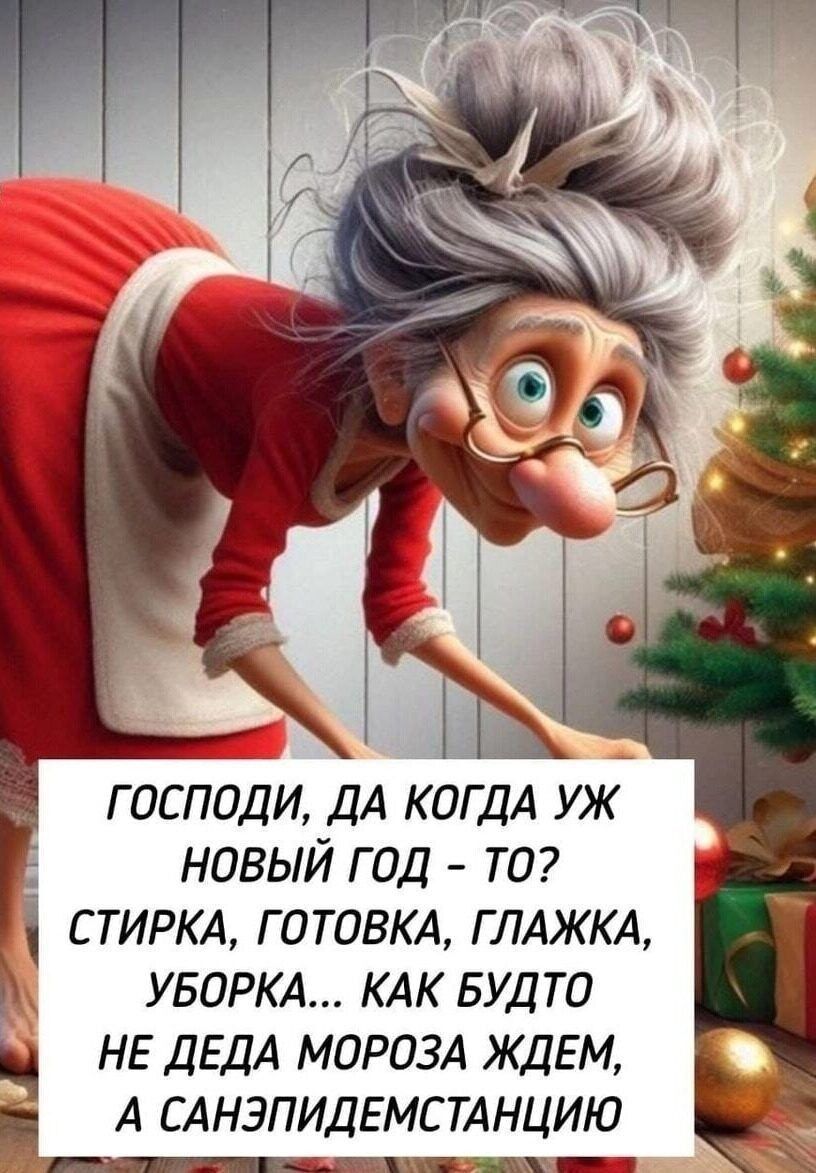 Господи, да когда уж новый год — то? стирка, готовка, глажка, уборка... как будто не Деда Мороза ждём, а Санэпидемстанцию
