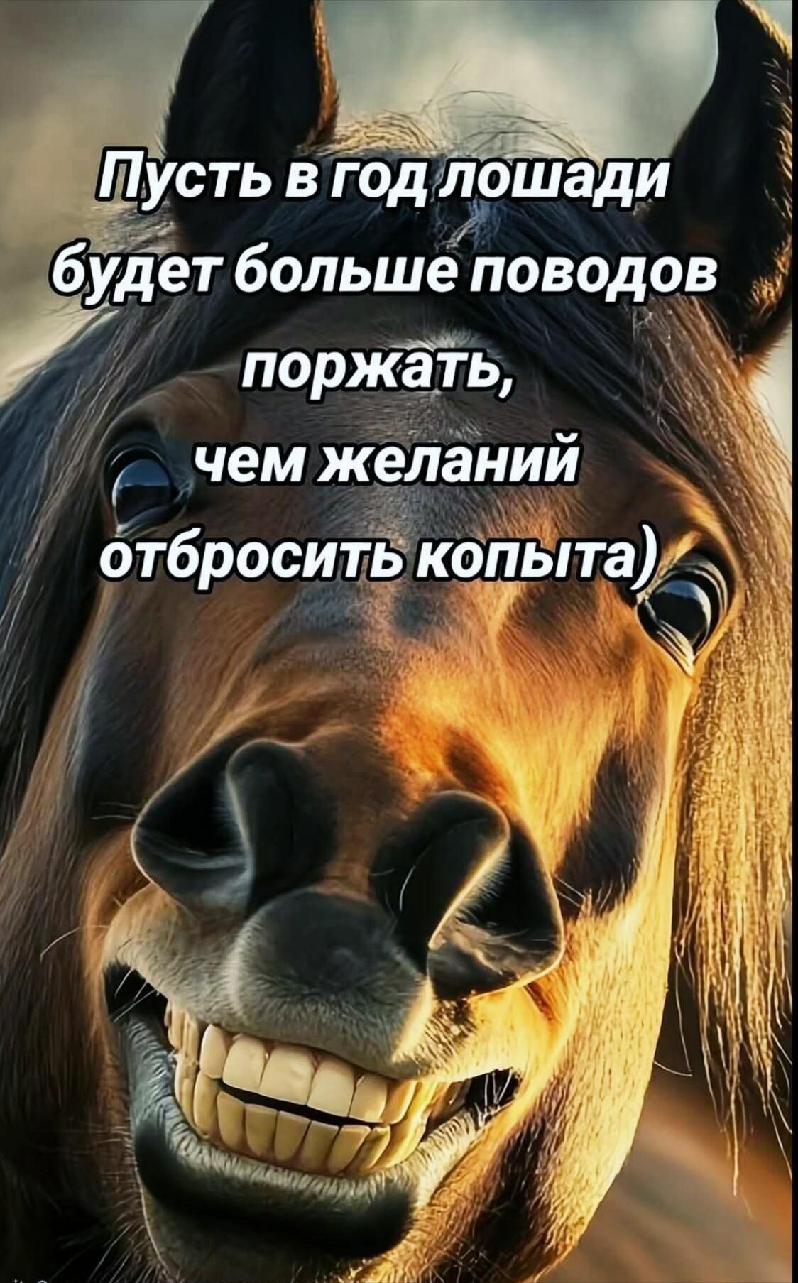 Пусть в год лошади будет больше поводов поржать, чем пожеланий отбросить копыта)