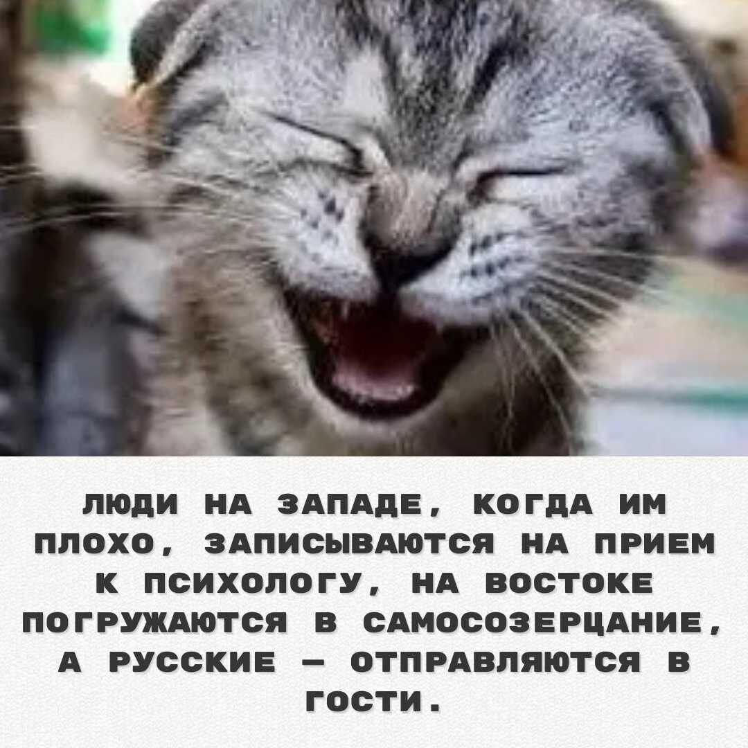люди на западе, когда им плохо, записываются на прием к психологу, на востоке погружаются в самосозерцание, а русские — отправляются в гости.